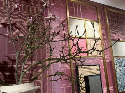 WhatsApp Image 2026 01 16 at 11.58.43