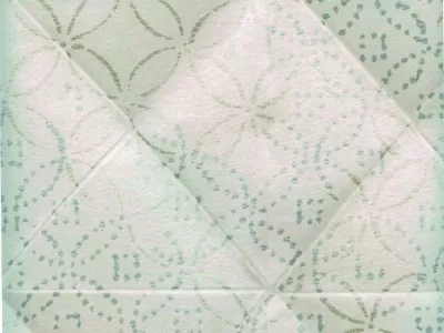 Elitis TP 172 01 Scan Pleats