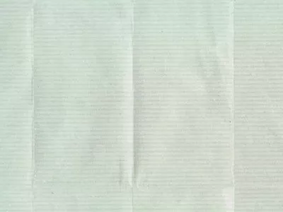 Elitis TP 180 01 Scan Pleats